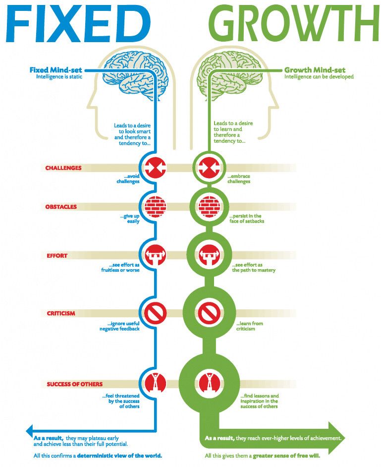 Embrace the Growth Mindset