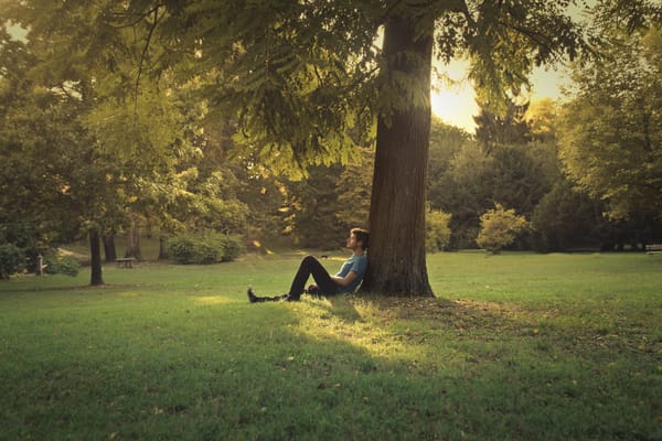 5 Reasons to Prioritize Your Rest